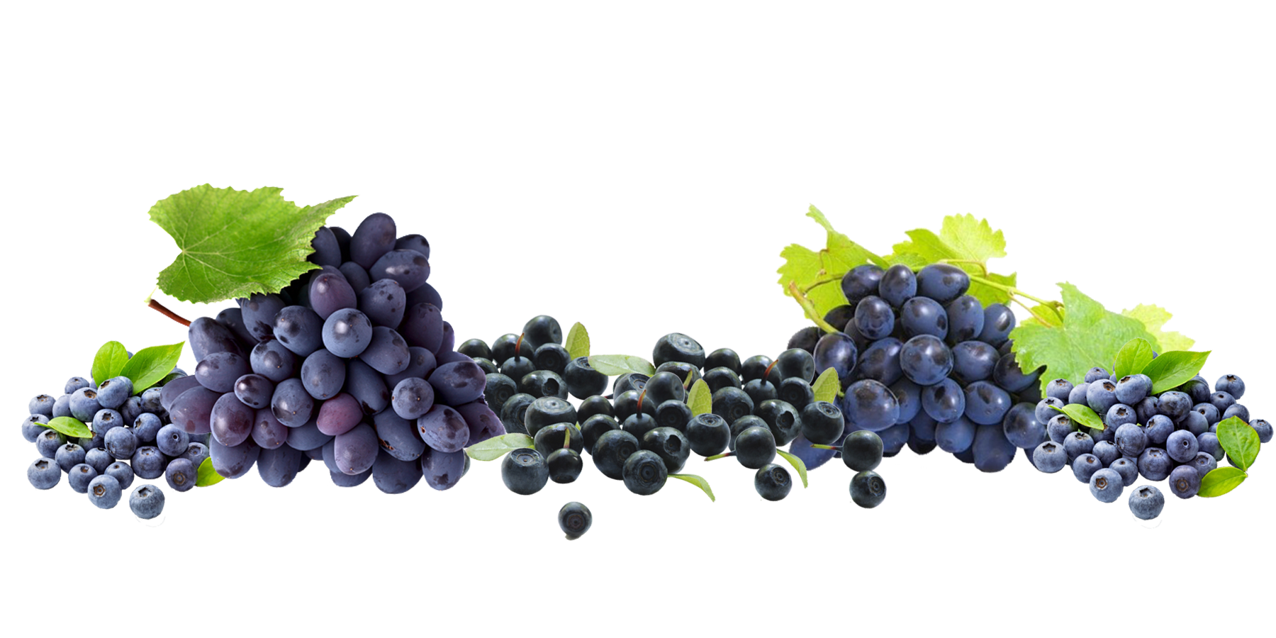 Acai Berries Grapes Blueberries